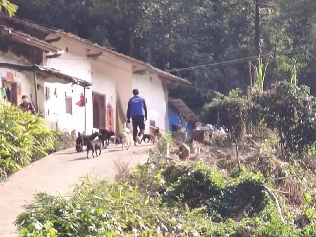 阳春房地一体项目纪实丨无悔青春多砥砺，，最是奋斗感人心