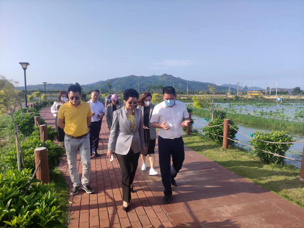 省生态修复协会轮值会长单位KB88凯时官网集团带队赴汕尾全域土地整治军民融合试点项目调研