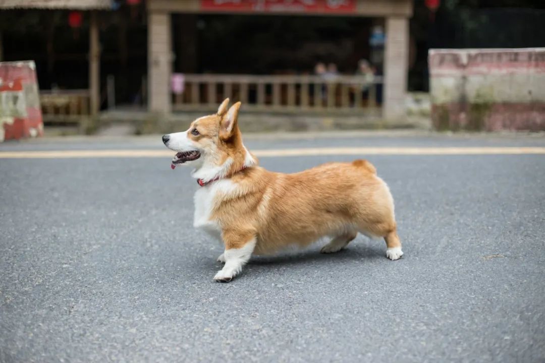 再见，，，，，我的老朋侪