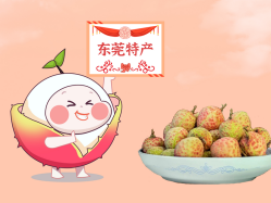 漫话KB88凯时官网丨一颗有“故事”的荔枝！