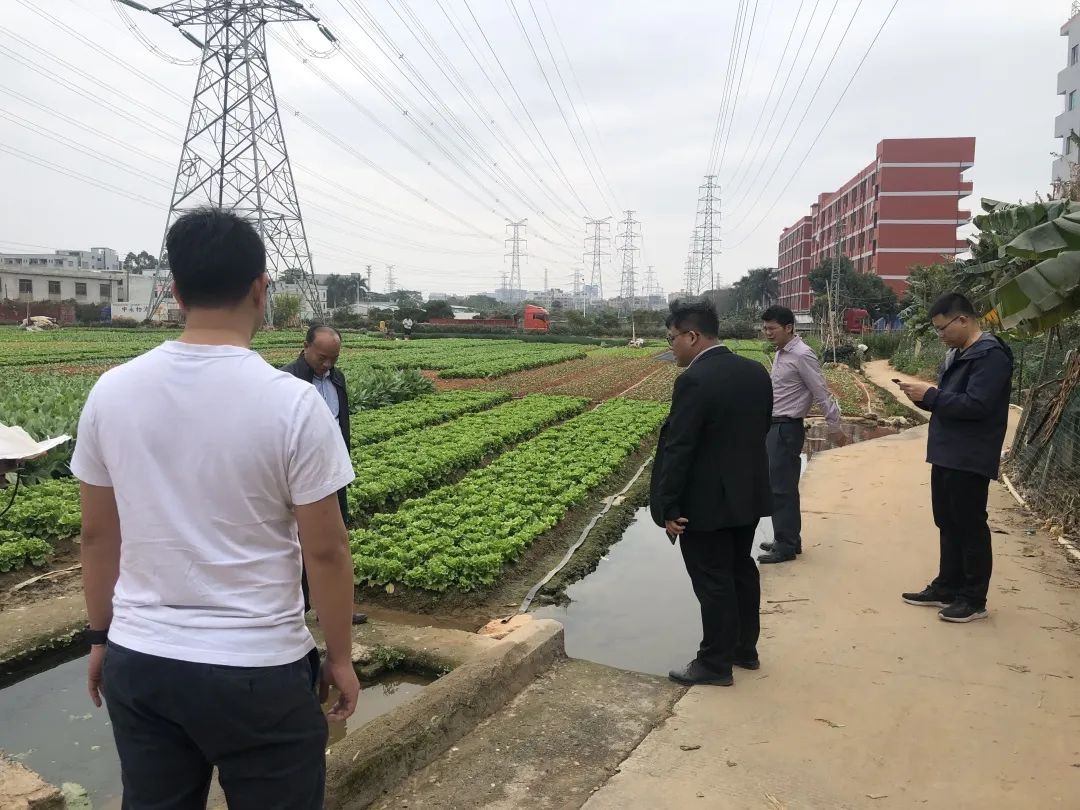 助力墟落振兴，，，，KB88凯时官网一直在起劲！