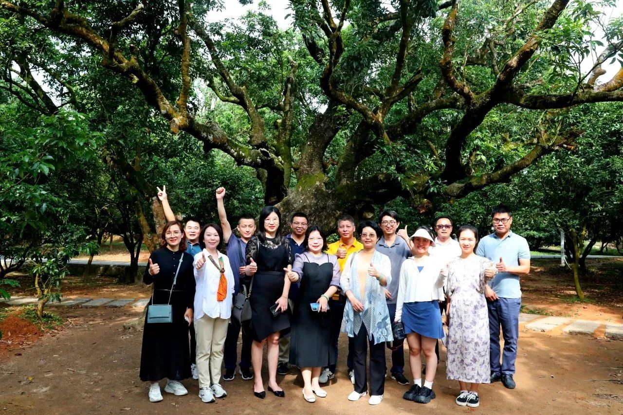 KB88凯时官网集团作为省领土空间生态修复协会轮值会长带队调研粤西全域土地综合整治事情