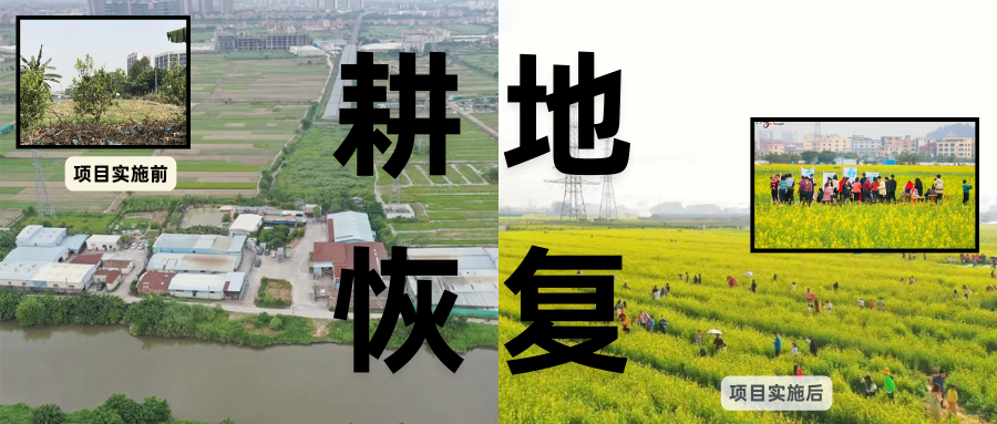 耕地；；；；；；び刖蒙す踩凇甘泻窠终蛩谏缜读继锵钅扛鼗指从氤窍缛诤系牧⒁焓导