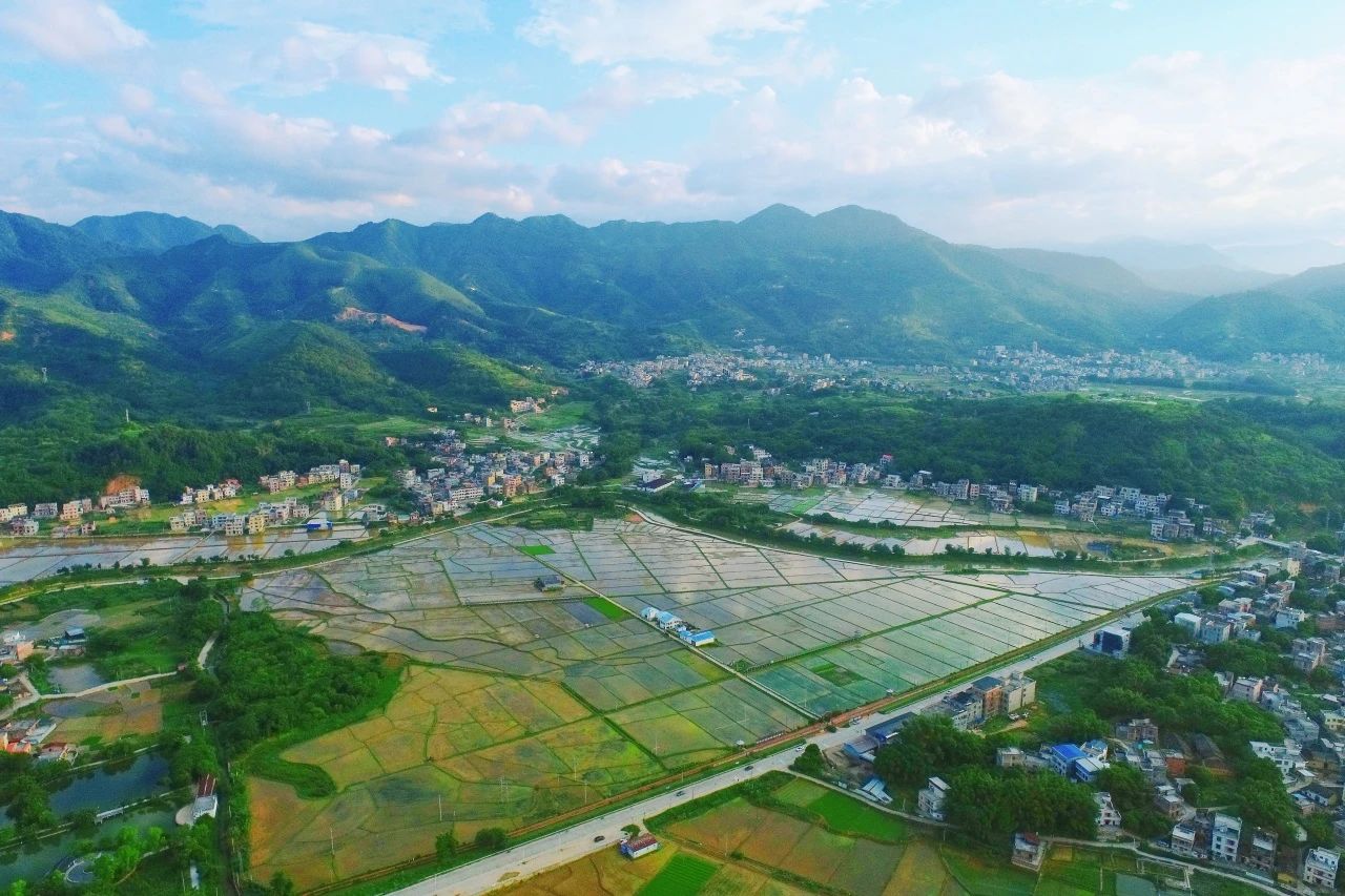 KB88凯时官网集团丨“百万万工程”显实效：云浮罗定泗纶镇以全域土地综合整治为抓手，，，，，绘就墟落振兴新画卷