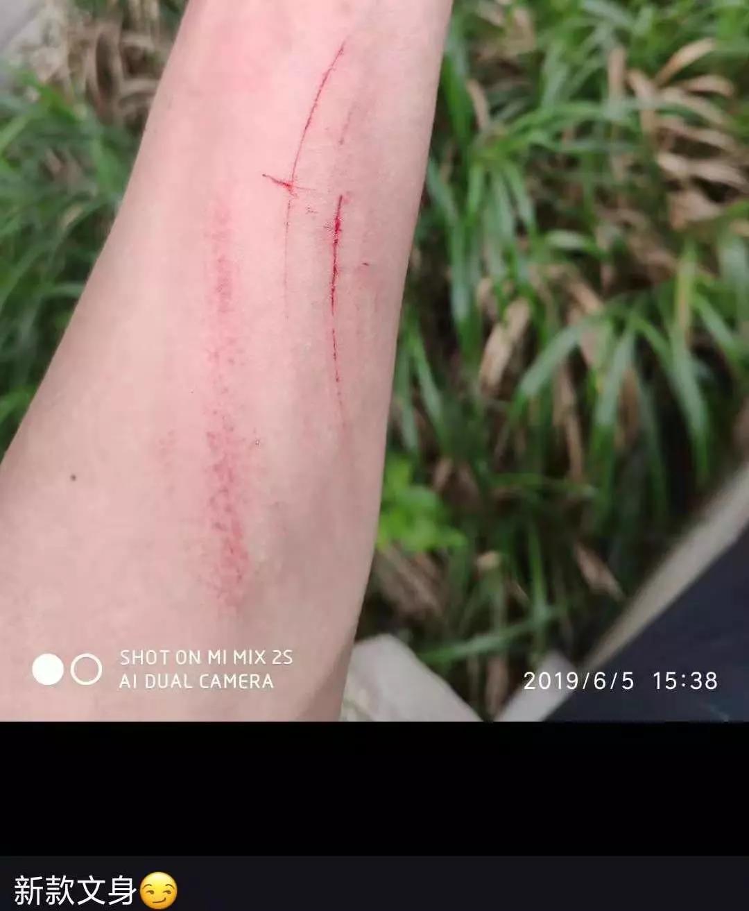惠州三门岛项目纪实丨人生没有白走的路，，，每一步都算数！-KB88凯时官网控股集团